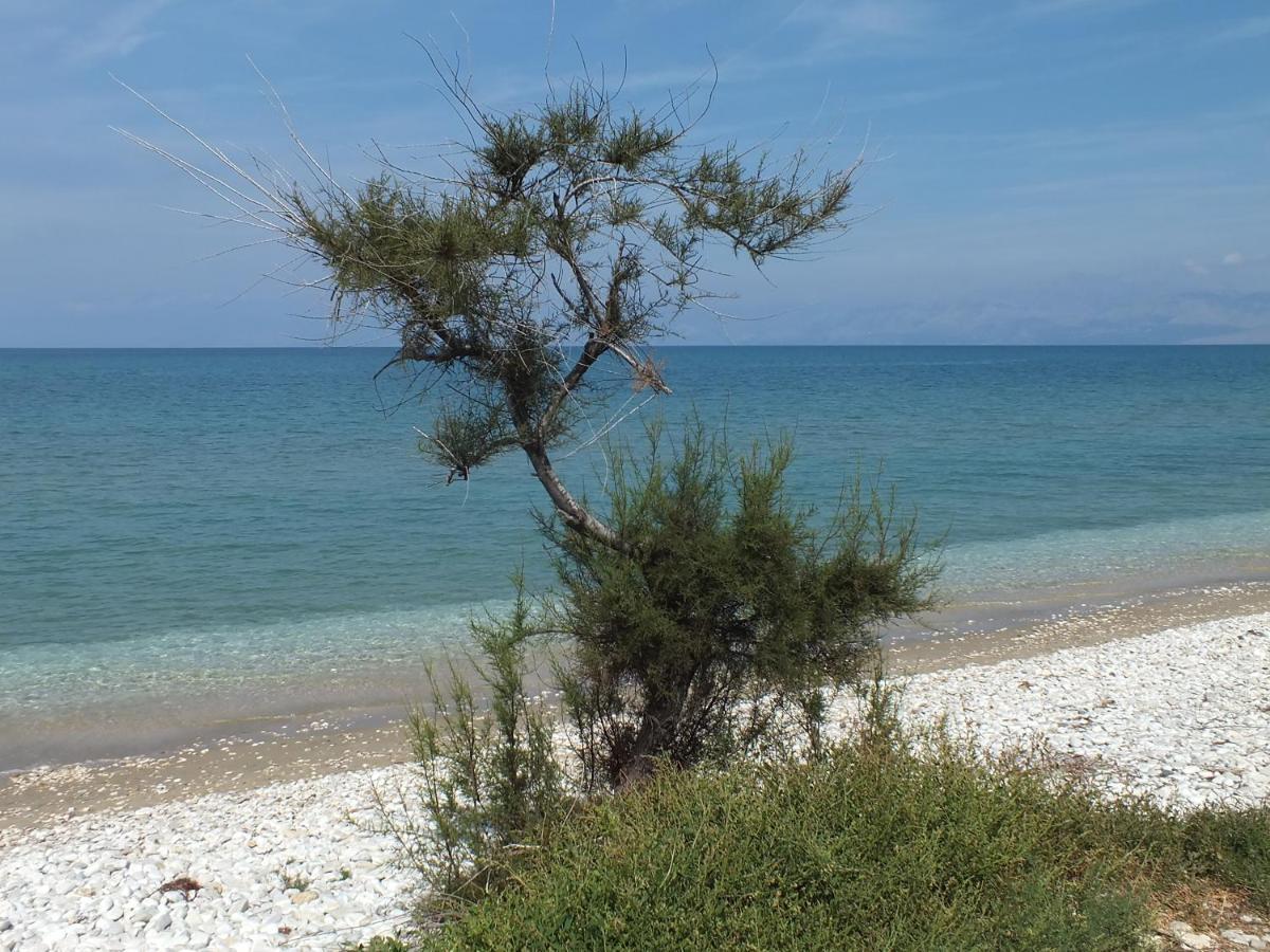 Frosos Beachfront Maisonette Acharavi 阿查拉维 外观 照片
